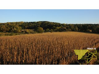 Property photo 55 - 1,153 +/- Acres offered in 15 TractsLAND AUCTION
